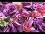 502234_78682_n_1