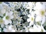 502953_53847_n_1