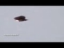 520290_57306_n_1