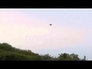 520956_84317_n_1