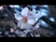 Mandulafa virága - Almond flowers /Francis Goya - Che sarà /