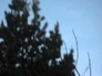 531198_61809_n_1