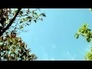 531459_14112_n_1