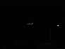 532632_12198_n_1