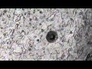 535837_11271_n_1