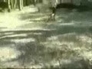 537265_41662_n_1