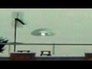 503070_29017_n_1