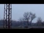 503310_17213_n_1