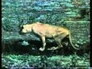 503472_11107_n_1