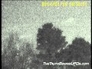 503585_75079_n_1