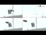 530204_28203_n_1