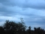 530339_35803_n_1