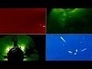 530395_44940_n_1