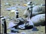 542540_38386_n_1