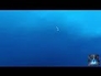 543718_49199_n_1