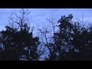 543902_31376_n_1