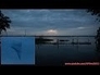 545148_38009_n_1