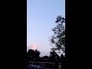 545594_14126_n_1