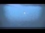 548256_28734_n_1