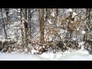504154_78224_n_1