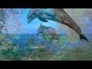 504604_22834_n_1