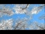 551031_50292_n_1