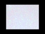 551500_31322_n_1