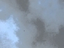 552228_49874_n_1