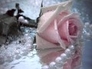 552627_90890_n_1