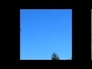 553091_67115_n_1