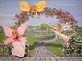 553125_69204_n_1