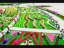 553709_39655_n_1