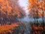556314_42312_n_1