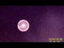 556766_99627_n_1