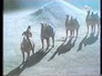 557329_90314_n_1