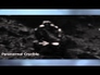 557513_41811_n_1