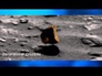 557961_98030_n_1