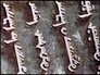 558159_88307_n_1