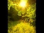 558179_24927_n_1
