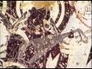 558439_80053_n_1