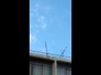 558463_55154_n_1