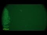 558466_20391_n_1