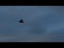 558970_32431_n_1