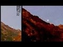 559419_84760_n_1