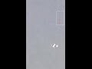 559614_82177_n_1