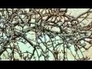 505041_78873_n_1
