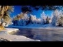 505202_20188_n_1