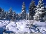 505594_92690_n_1