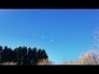 505943_89059_n_1
