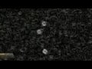 550649_43590_n_1